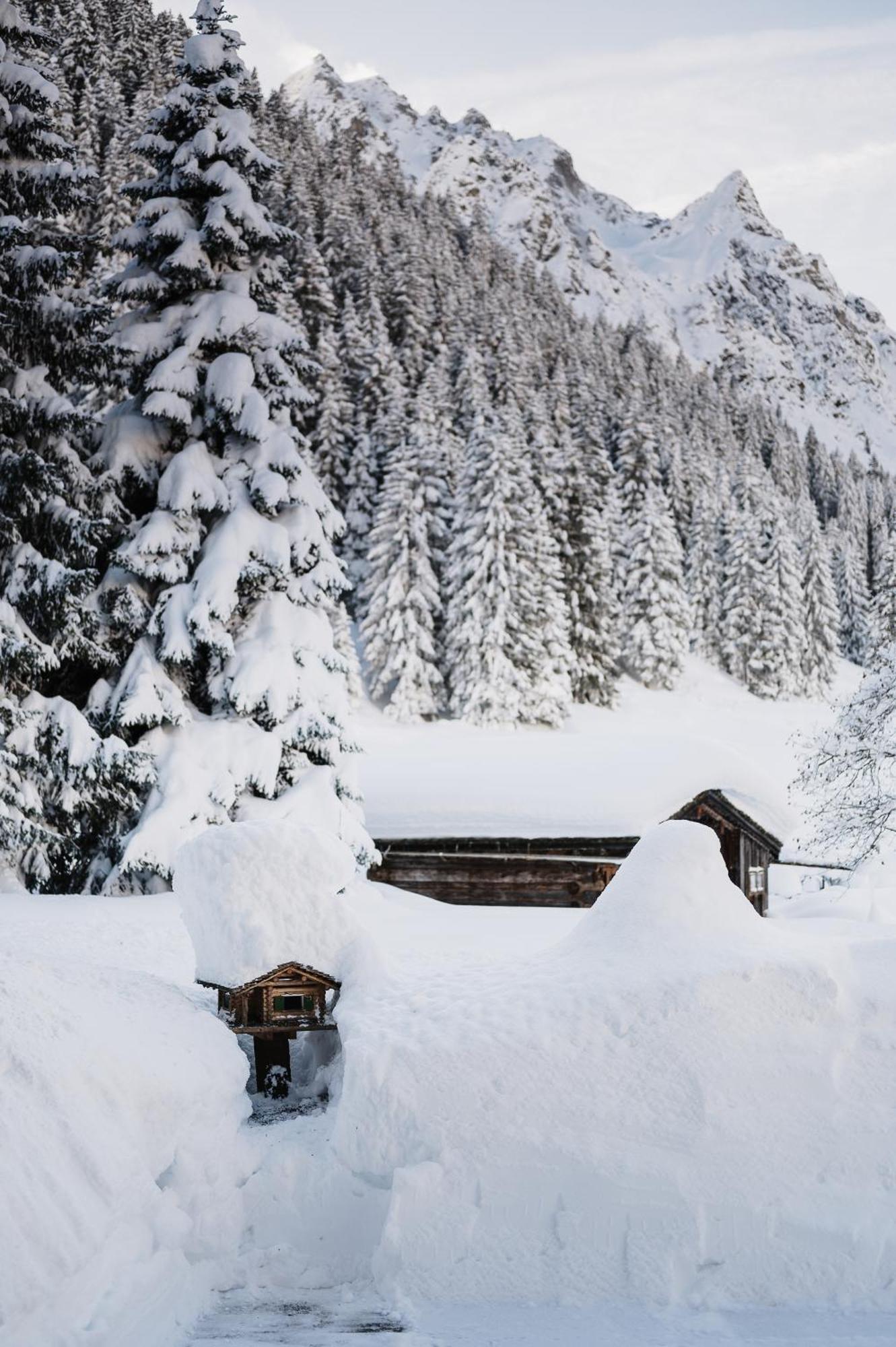 Heimspitze - Alpenhotel & Wirtshaus غارغيلين المظهر الخارجي الصورة
